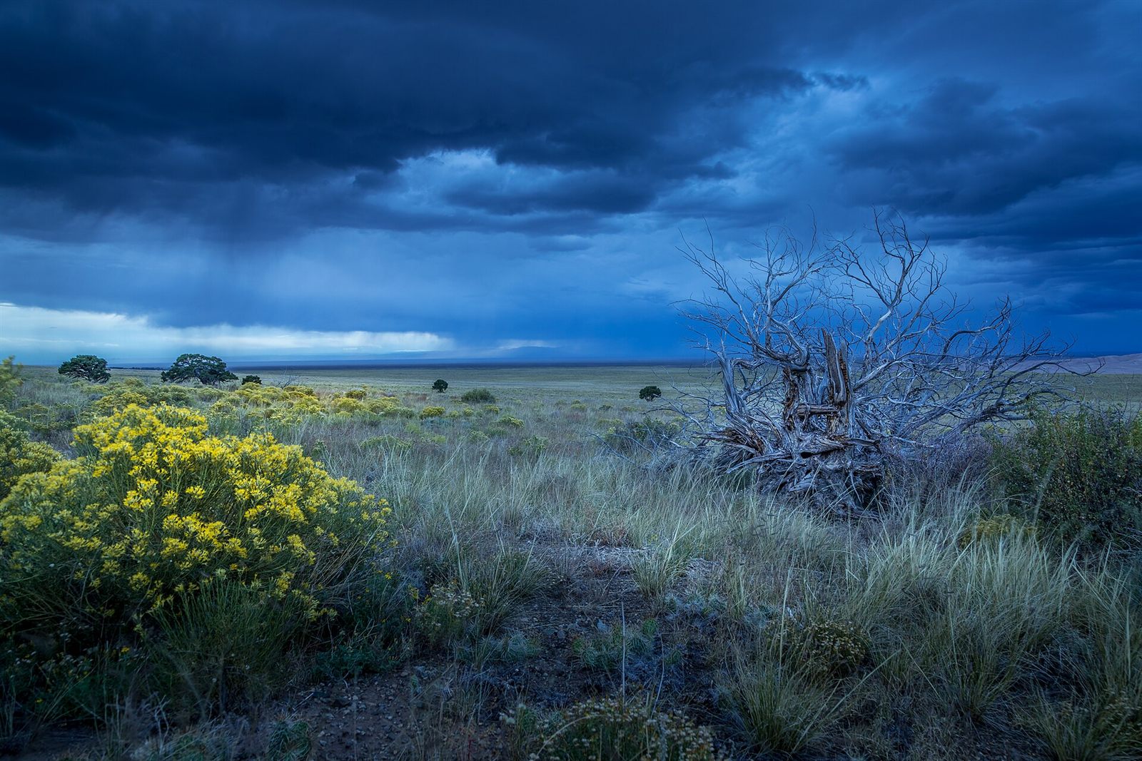 Open land near Loveland, Colorado